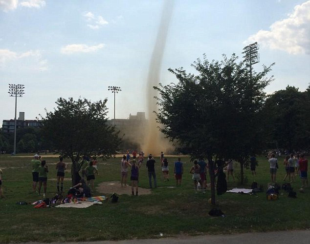 美警方捉到3.6米长巨蟒：闯入居民区