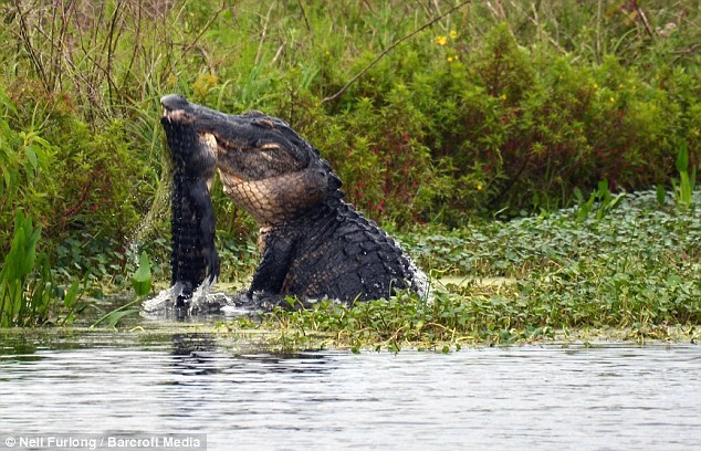 美超高音速武器升空后爆